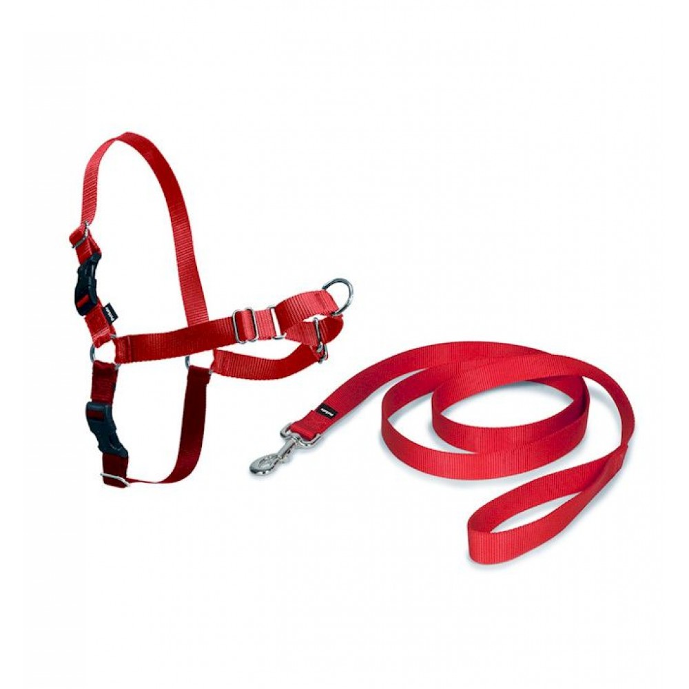 PetSafe EasyWalk Small Dog Harness Extra Small Red